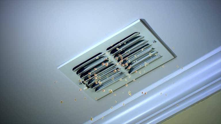 Best Dryer Vent Cleaning Services  in Shanor Northvue, PA